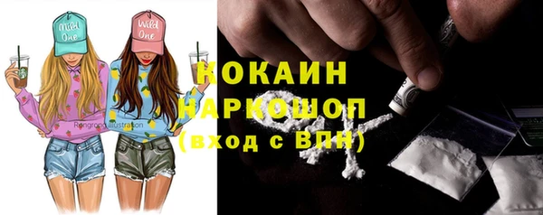 прущие крисы Бородино