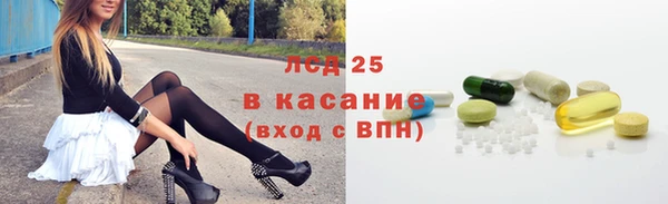 сатива Верея