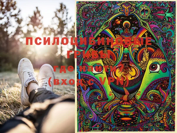 PSILOCYBIN Верхний Тагил