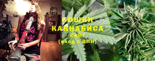PSILOCYBIN Верхний Тагил