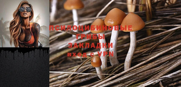 PSILOCYBIN Верхний Тагил