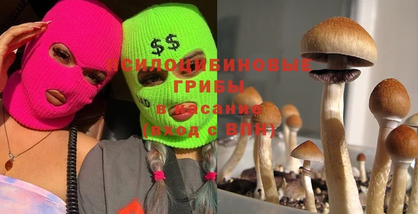 мет Россошь
