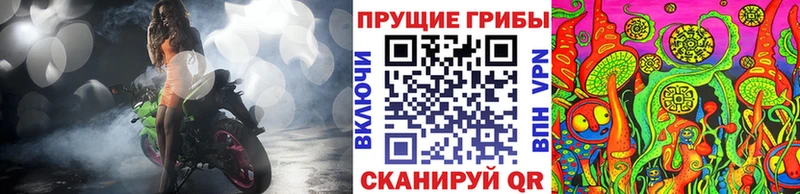 купить закладку  Славянск-на-Кубани  кракен рабочий сайт  Галлюциногенные грибы прущие грибы 